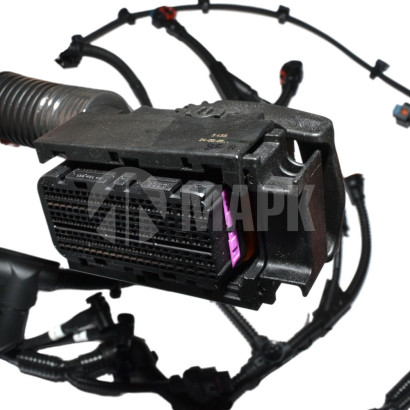 PSH0006987 Жгут проводов двигателя (СТТ) дв.G21 .РSН0006987