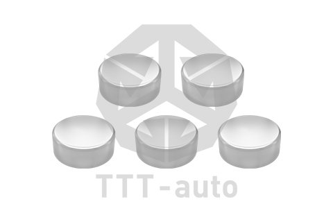 Заглушка металлическая D=40/H=14мм. SB6/7 (5 шт в упаковке) (TTT)