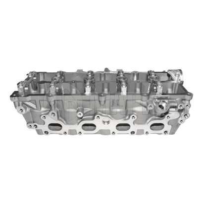 AM40000695 Головка блока цилиндров в сборе FOTON 2.5 (G21)