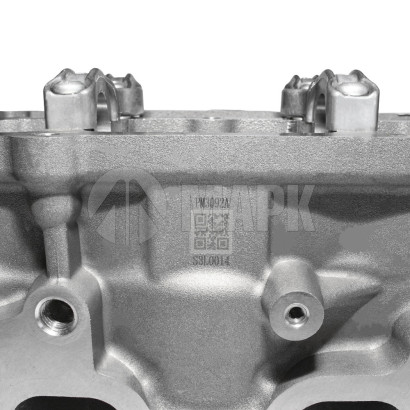 AM40000695 Головка блока цилиндров в сборе FOTON 2.5 (G21)