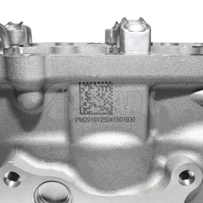 AM40000695 Головка блока цилиндров в сборе FOTON 2.5 (G21)