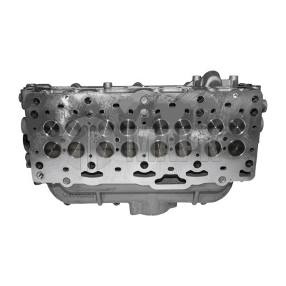 AM40000695 Головка блока цилиндров в сборе FOTON 2.5 (G21)