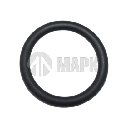 5288373 Кольцо уплотнительное (форсунка) Евро 3 (ISF3.8) DVMARK