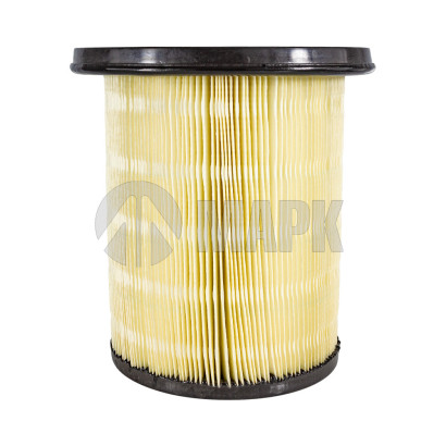 9.1.1731 Фильтр очистки воздуха а/м NEXT (А21) Цитрон