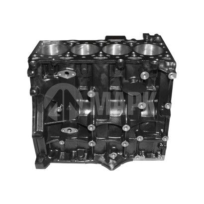 PP10006508 Блок цилиндров FOTON 2.5 (G21)