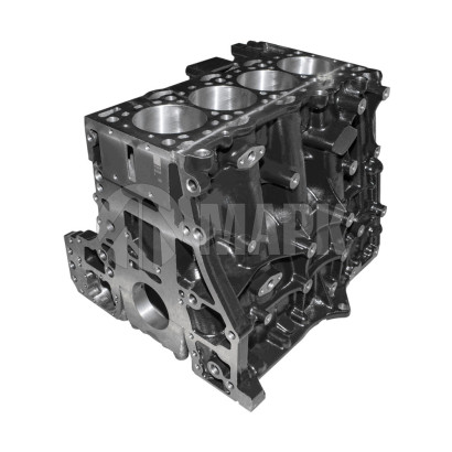 PP10006508 Блок цилиндров FOTON 2.5 (G21)