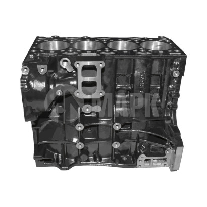 PP10006508 Блок цилиндров FOTON 2.5 (G21)