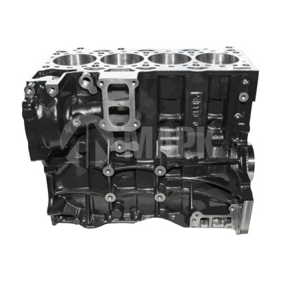 PP10006508 KIT Сервисный двигатель FOTON 2.5 (G21 31 51) (шорт-блок)