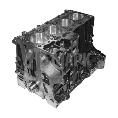 PP10006508 KIT Сервисный двигатель FOTON 2.5 (G21 31 51) (шорт-блок)