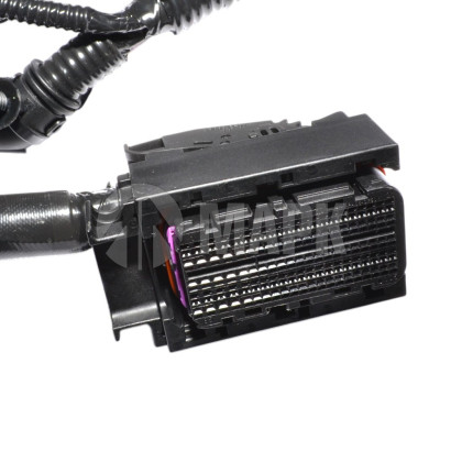 РSН0005731 Жгут проводов (СТТ) дв. G21