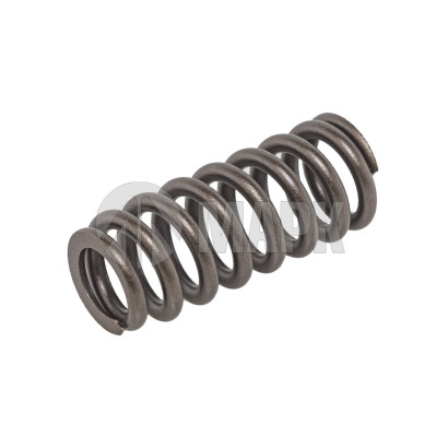 PM40004174 Пружина клапана FOTON 2.5 (G21)