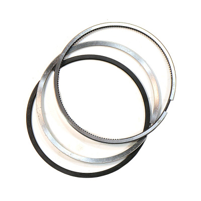 Кольца поршневые черно-белые на 1 поршень (Federal Mogul)