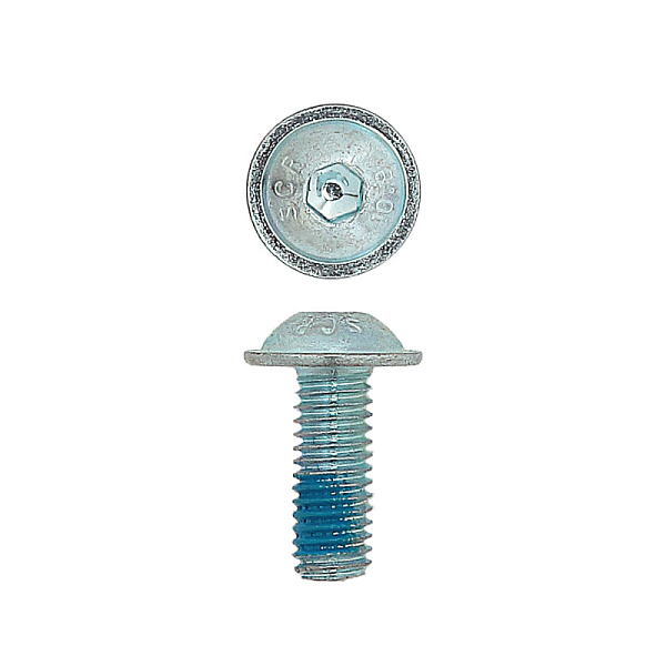 Болт М6x16 DIN 603 Schmitz 1018913 (к роликам 1026011) (SUER)