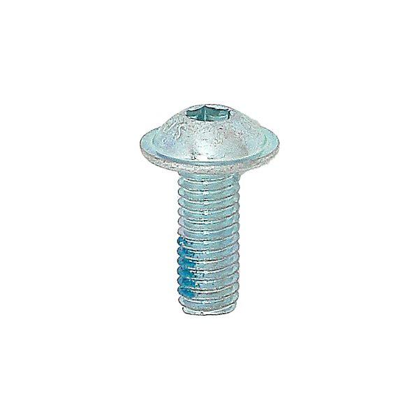 Болт М6x16 DIN 603 Schmitz 1018913 (к роликам 1026011) (SUER)