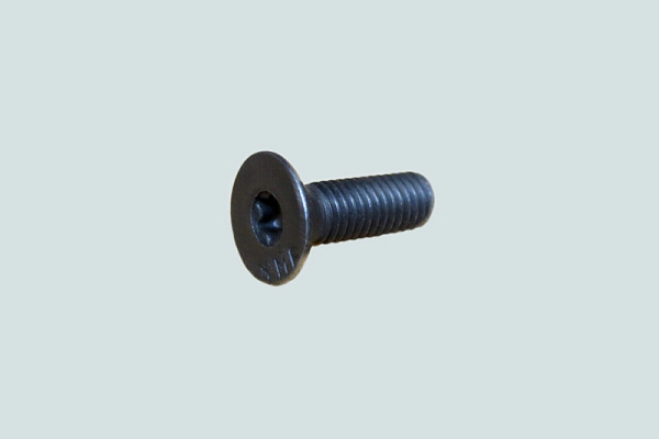 Болт  с плоской головкой (М8х1.25х25) (ролик натяжной 5256103)  ISBe DCEC