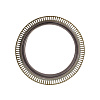 Сальник и кольцо ABS в сборе DZ90129346029 (Shaanxi Hande Axle Co.)