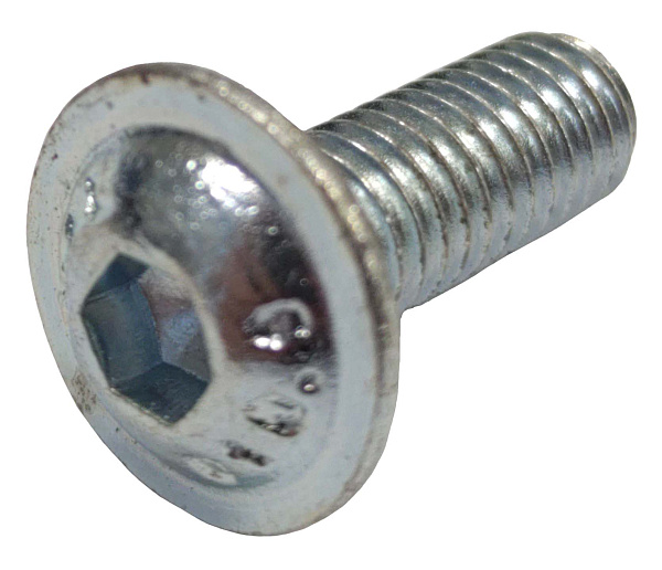 Болт М6x16 DIN 603 Schmitz 1018913 (к роликам 1026011) (SUER)