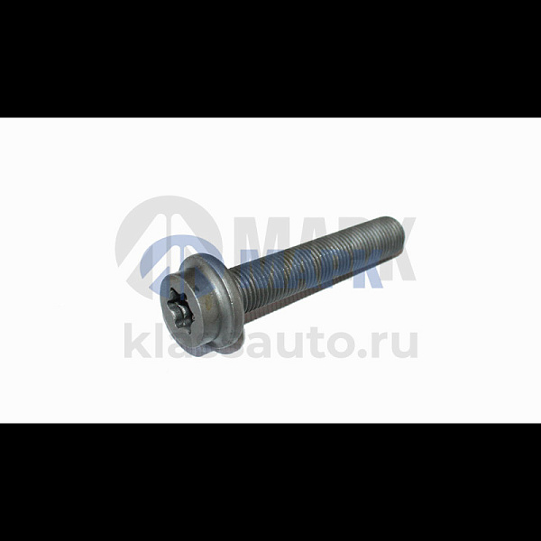 Болт крепления тормозного диска заднего (М14х1.5х75) а/м КамАЗ 5490, MB (TRUCKMARK) (180шт)