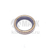 Сальник 25x35x7 (ZF 0734 300 196) (DT)