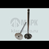 Клапан выпускной (ISLe, L) 4981795/ 3969637 DVMARK