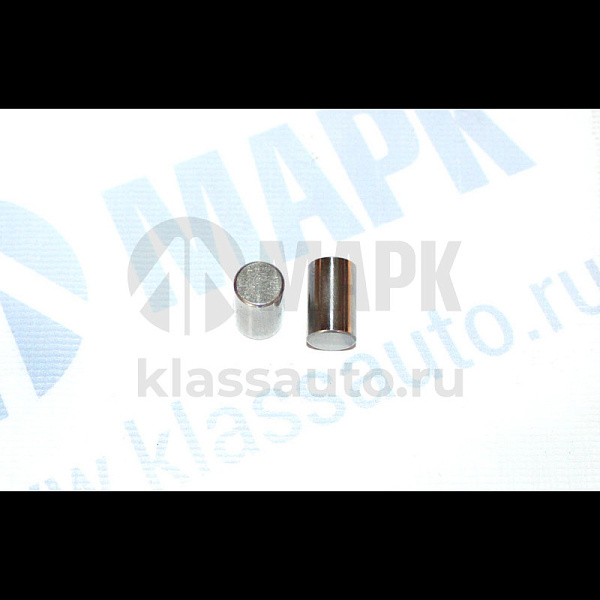Ролик (ZF 0750 119 116) (Euroricambi)