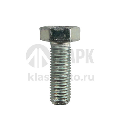 Болт М10х30х1,25 1/13069/21 АО БелЗАН