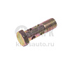 Болт топливный М14х1,5х48 (много отверстий) (20шт в уп)